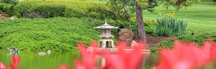 Japanese Garden - Cowra 
